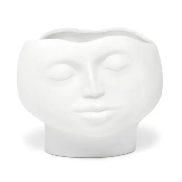 Large Bowl Enigma